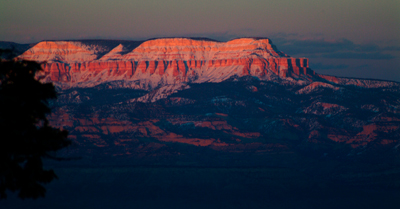 Image Concealment Films - MH Studios